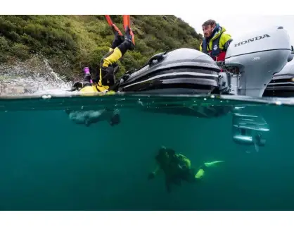 Фотография товара №4