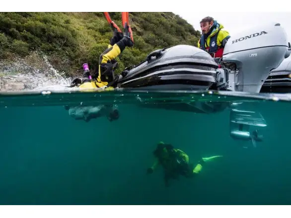 Фотография товара №4