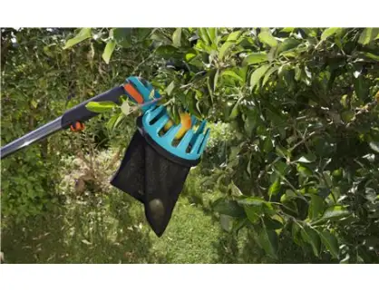 Фотография товара №2