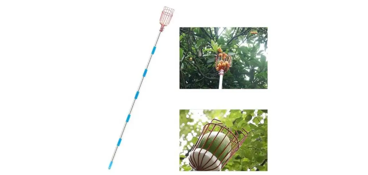 Фотография товара №2