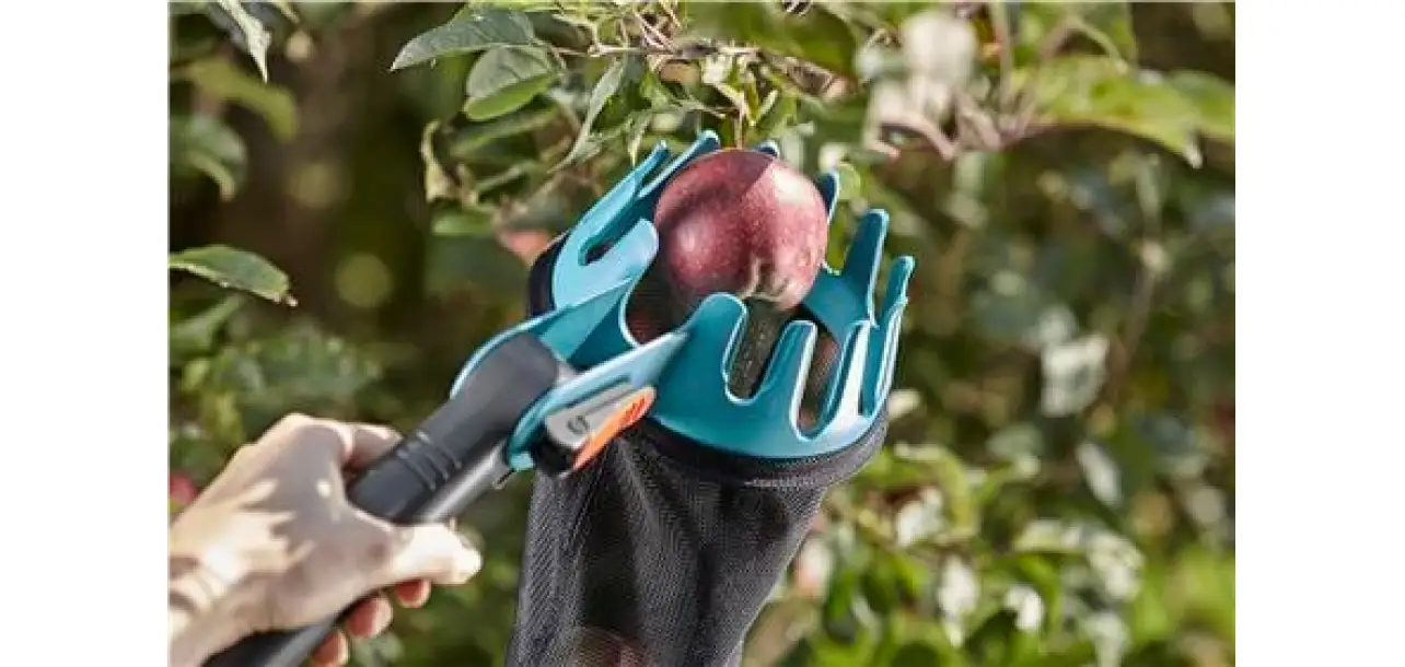 Фотография товара №4